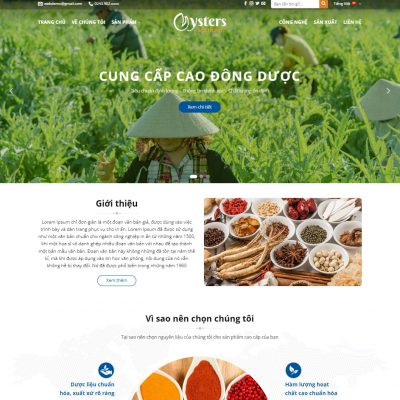 Theme wordpress thực phẩm chức năng 11
